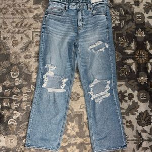 American Eagle Curvy 90’s Straight Leg Jean